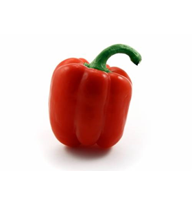 Capsicum